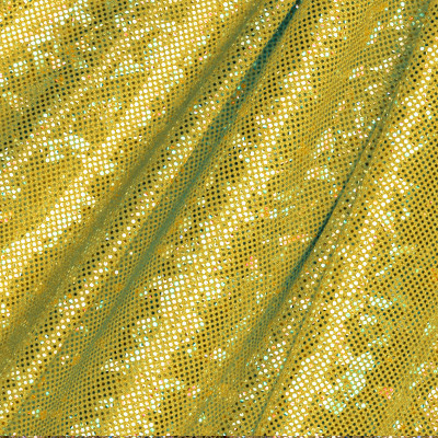 Kód: 36116  holografikus lycra